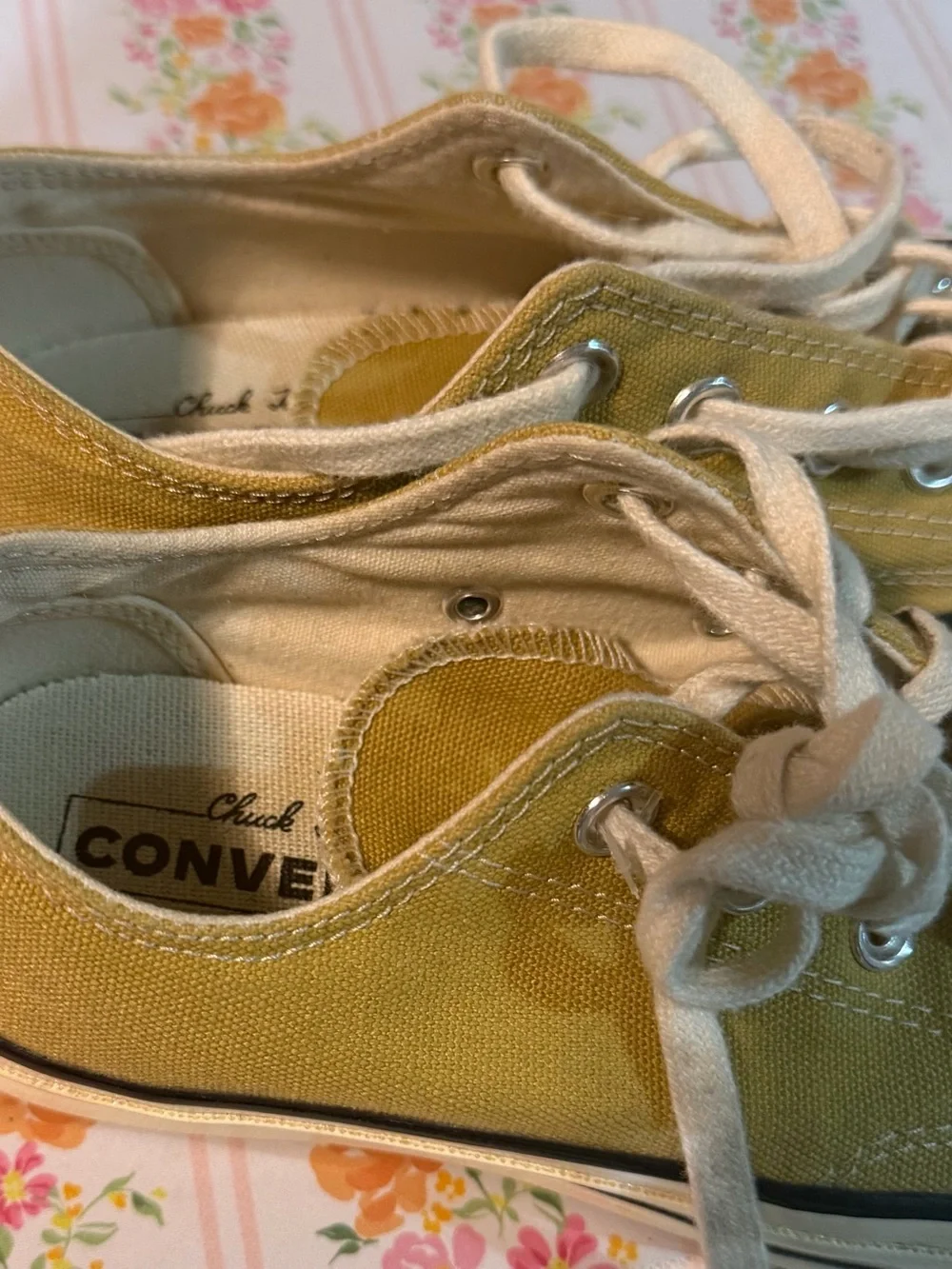 Converse classic low